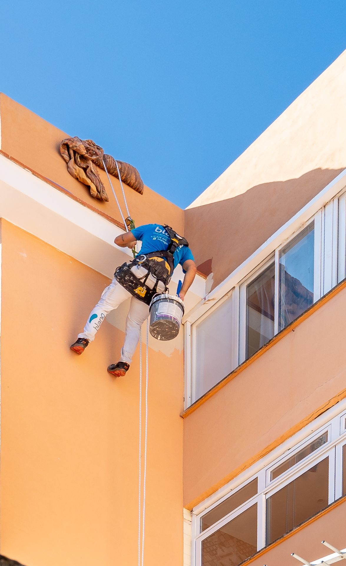 Trabajos verticales - Proyecto 1