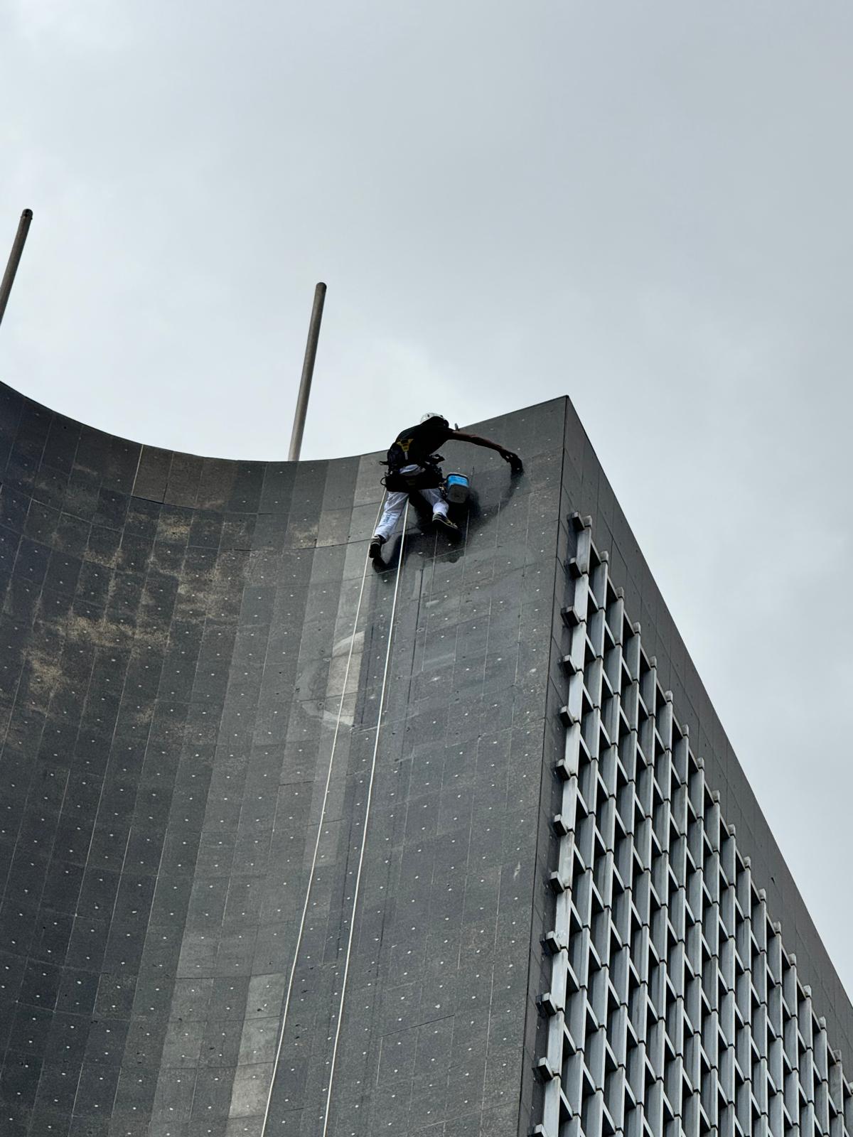 Trabajos verticales - Proyecto 2