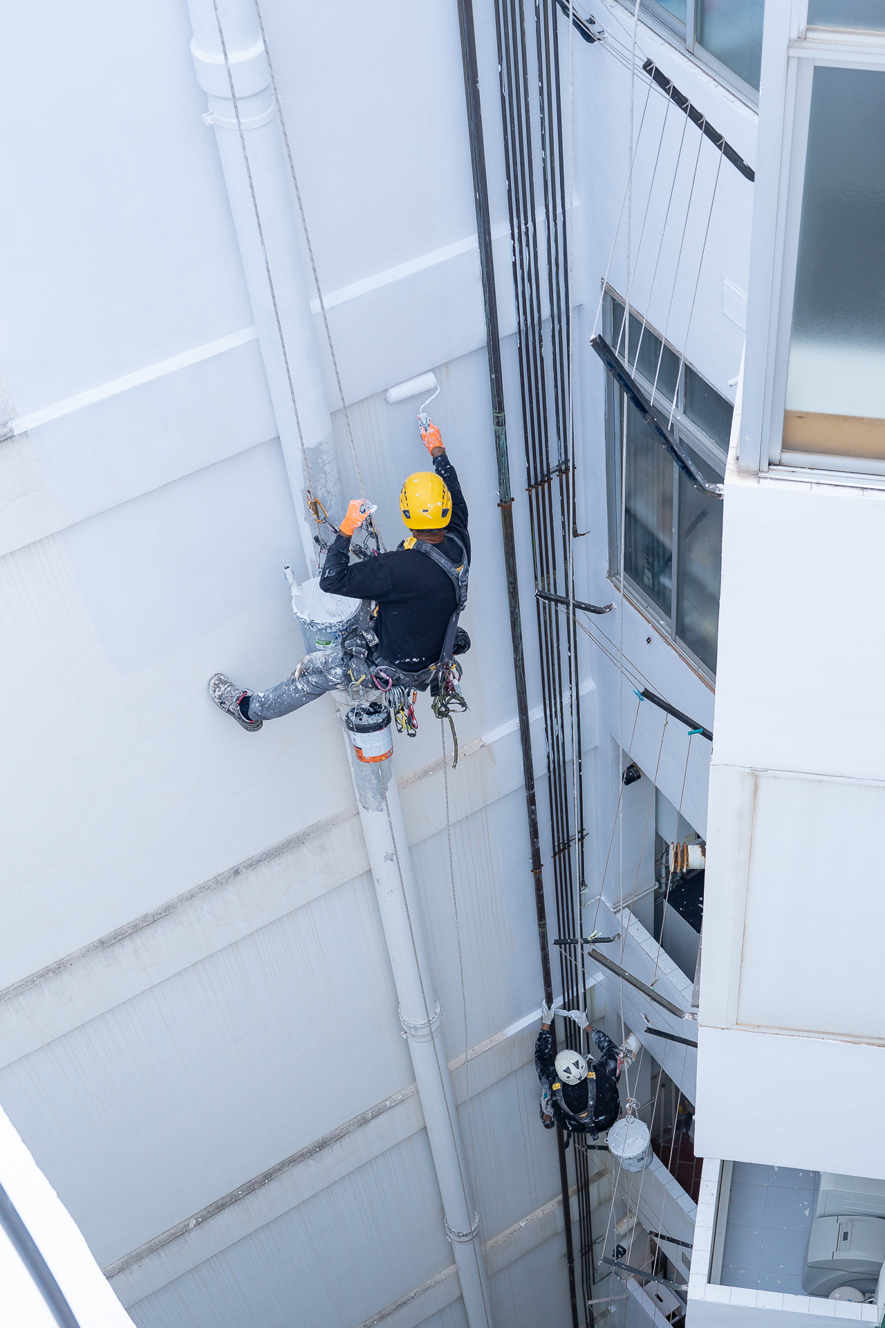 Trabajos verticales - Proyecto 5