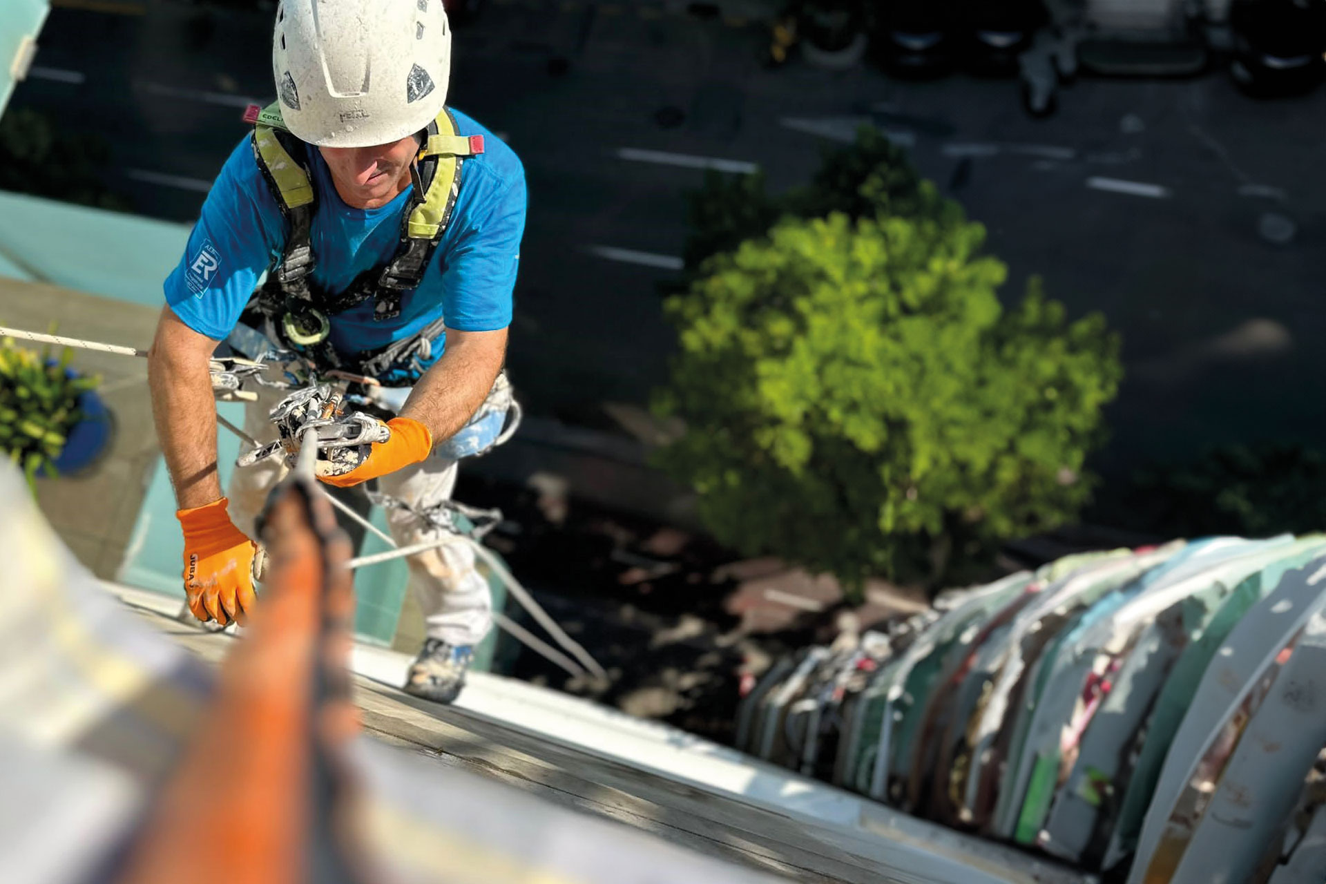 Trabajos verticales - Proyecto 7